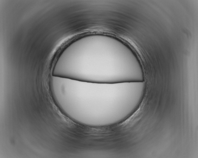 X0000111661115200907171114