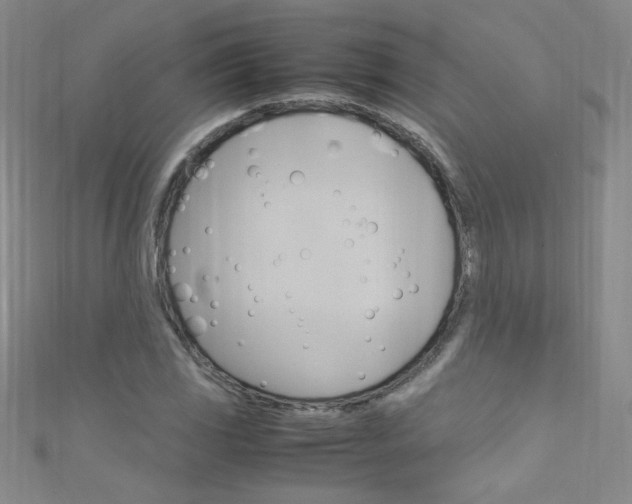 X0000111661117200907171114