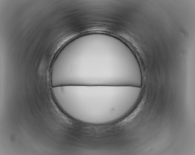 X0000111661121200907171114