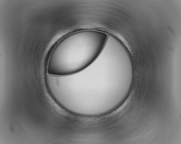 X0000111661122200907171114