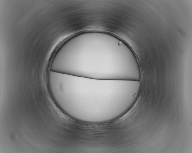 X0000111661123200907171114