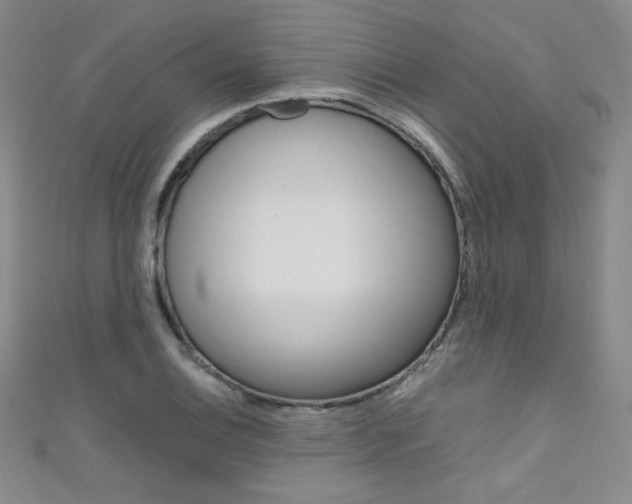 X0000111661124200907171114