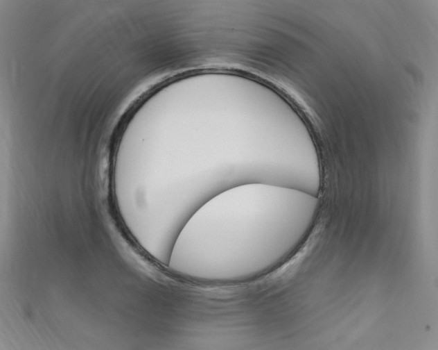 X0000111661126200907171114