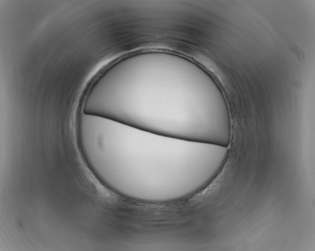 X0000111661127200907171114