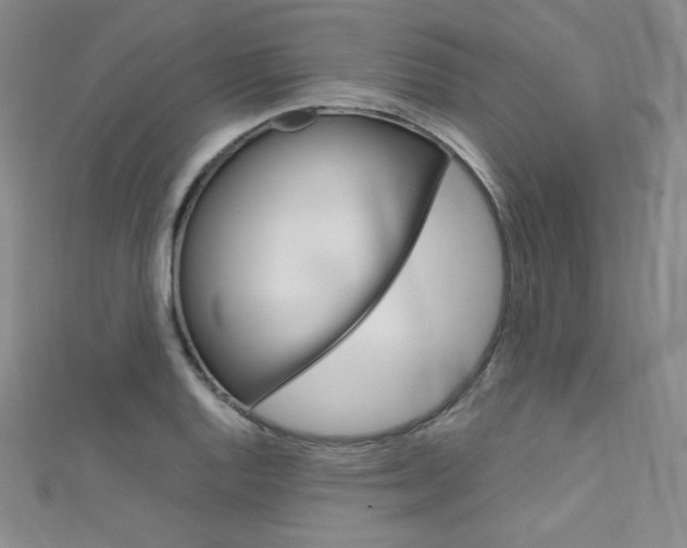 X0000111661128200907171114