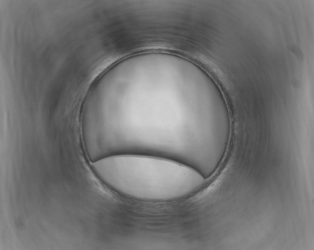 X0000111661129200907171114