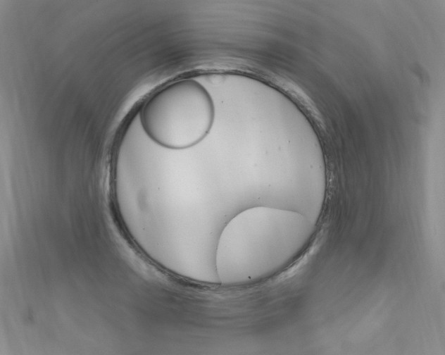X0000111661130200907171114
