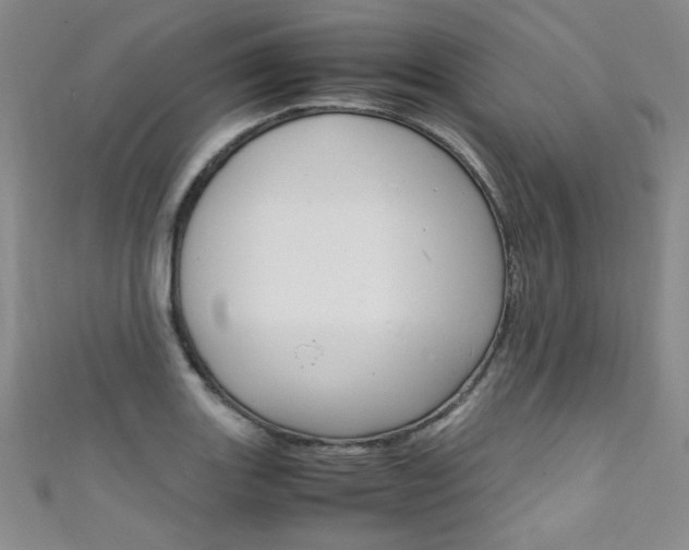 X0000111661131200907171114