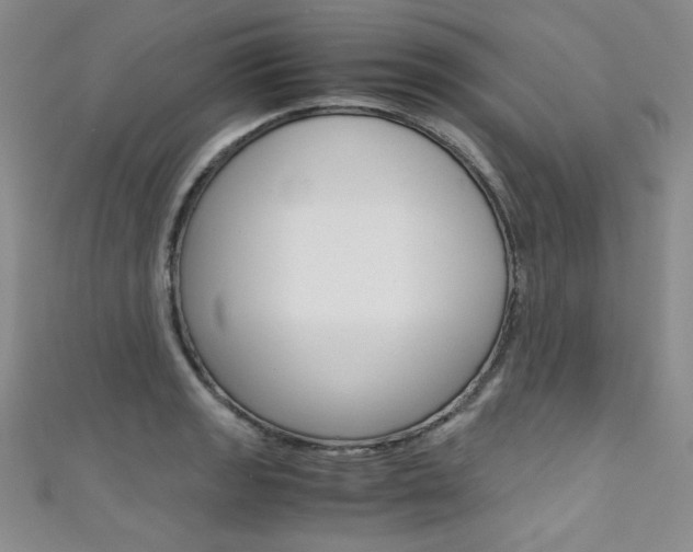 X0000111661133200907171114