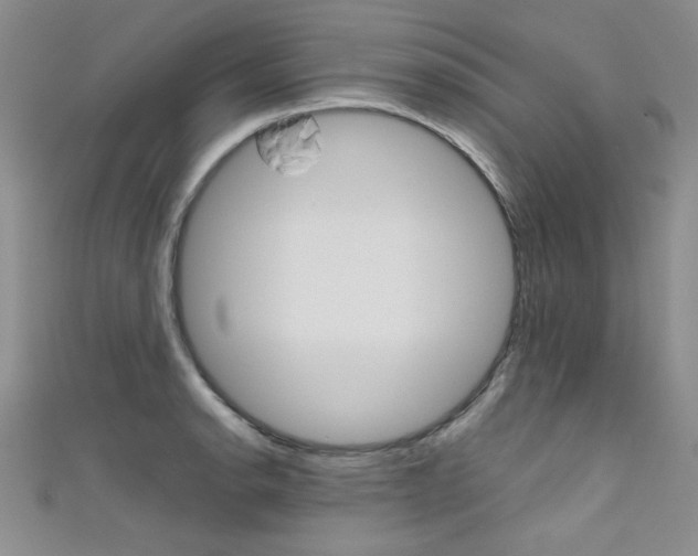 X0000111661134200907171114