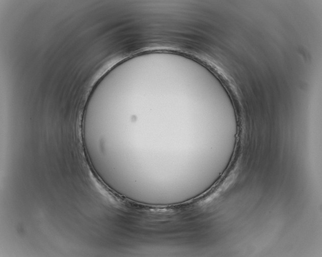 X0000111661137200907171114