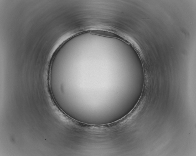 X0000111661138200907171114