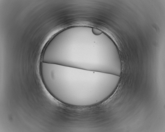 X0000111661139200907171114