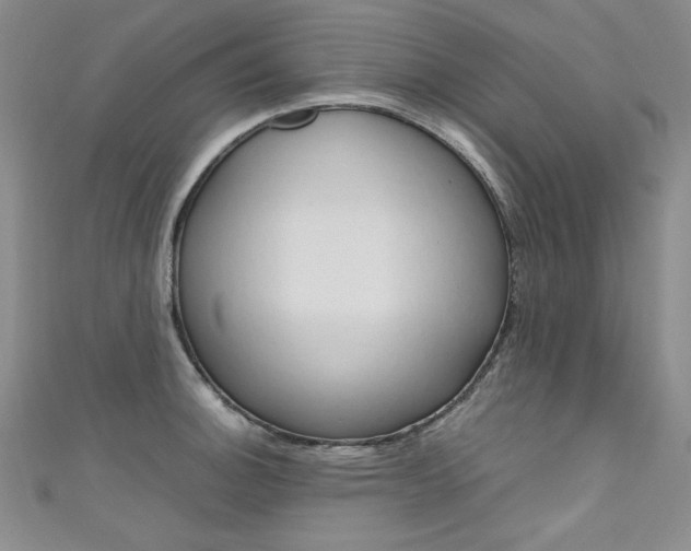 X0000111661140200907171114