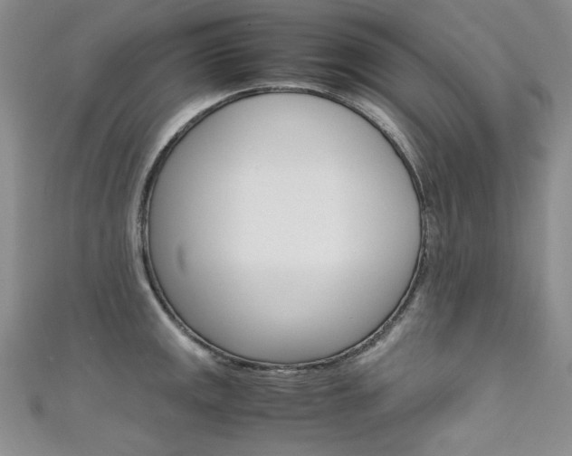 X0000111661141200907171114