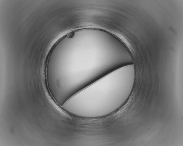 X0000111661142200907171114