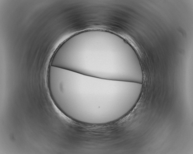 X0000111661143200907171114