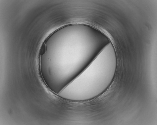 X0000111661144200907171114