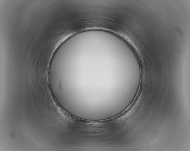 X0000111661145200907171114