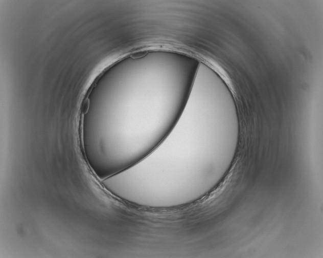 X0000111661146200907171114