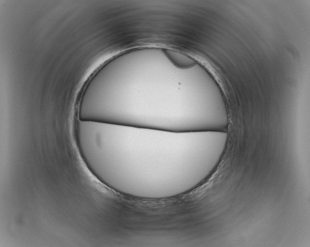 X0000111661147200907171114