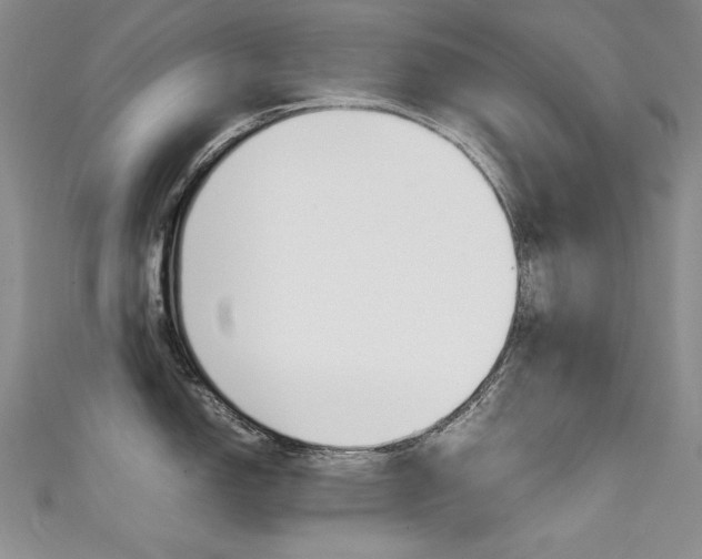 X0000111661150200907171114