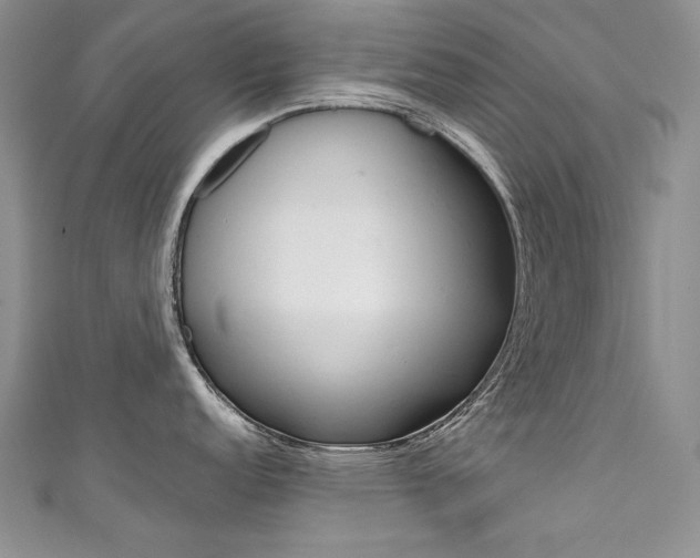 X0000111661152200907171114