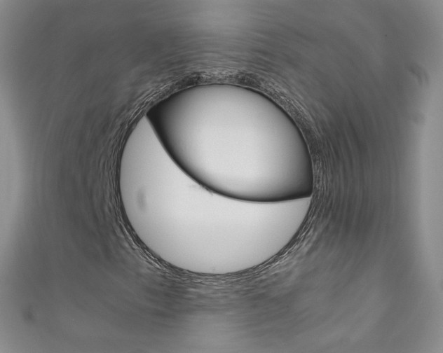 X0000111661153200907171113