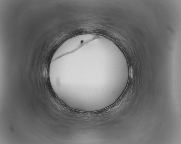 X0000111661155200907171113
