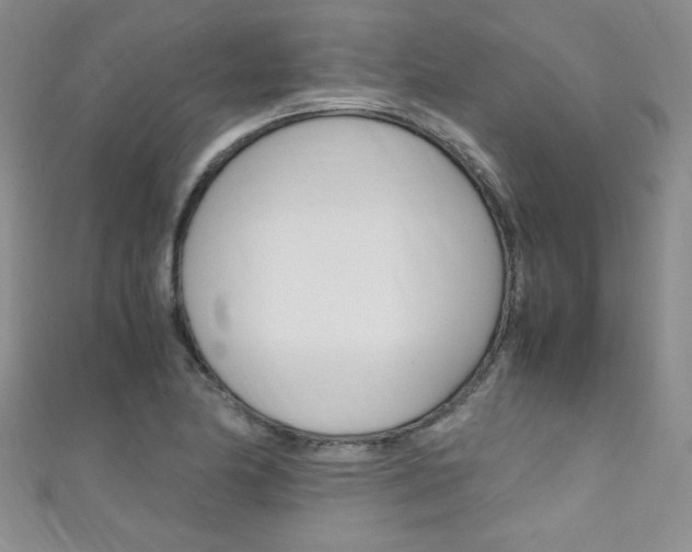 X0000111661174200907171113