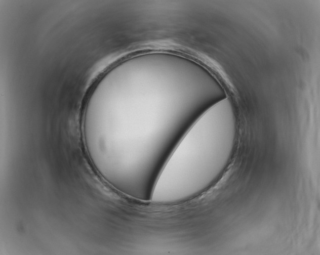 X0000111661176200907171113