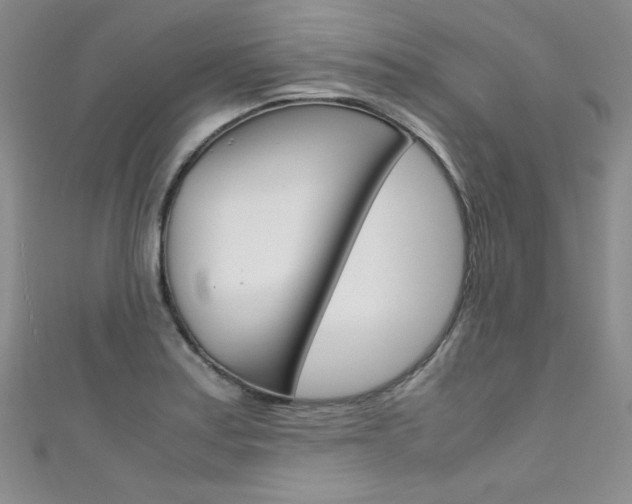 X0000111661179200907171113