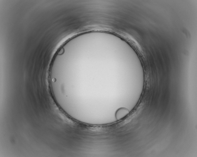 X0000111661182200907171113