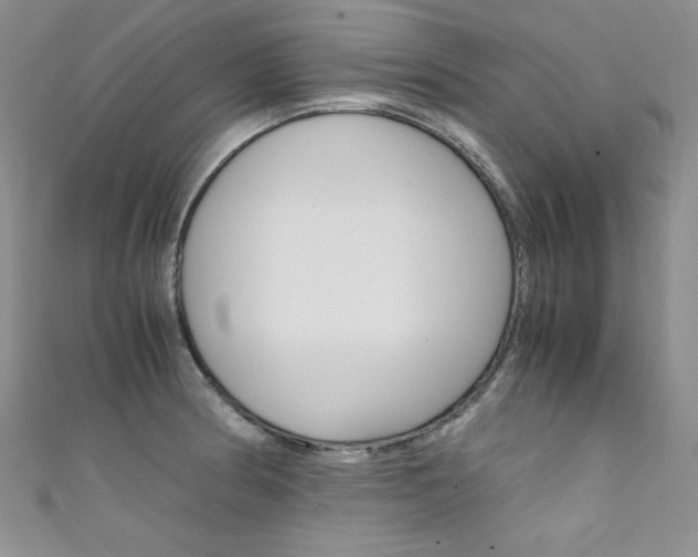 X0000111661186200907171113