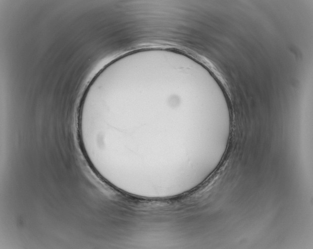 X0000111661187200907171113
