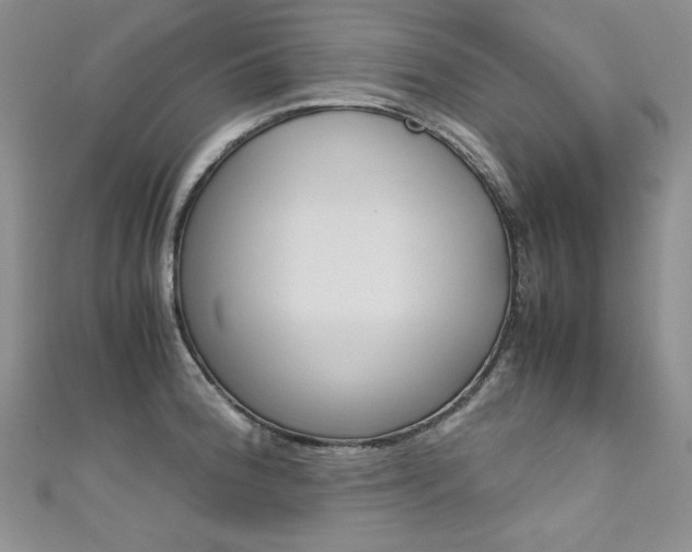 X0000111661188200907171113