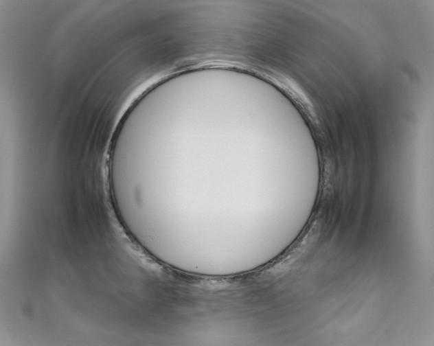 X0000111661190200907171113