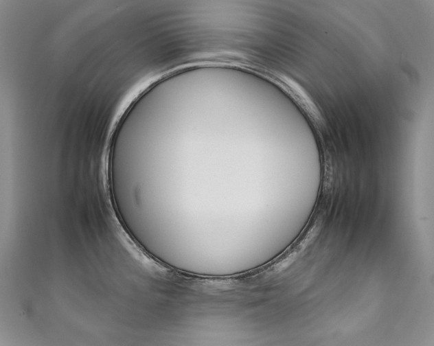X0000111661196200907171113