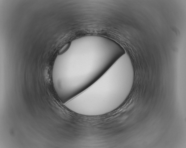 X0000111661202200907171112