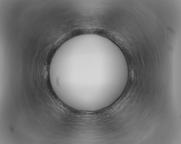 X0000111661204200907171112