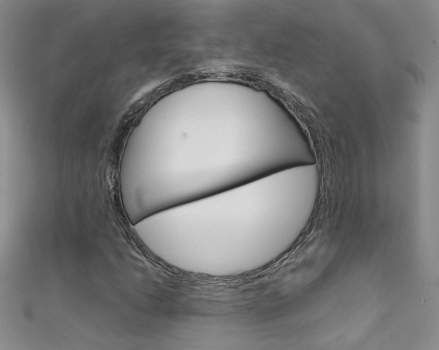 X0000111661206200907171112
