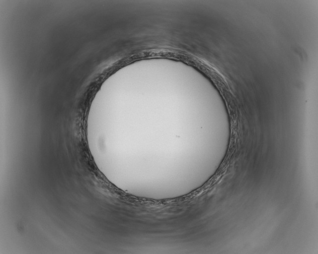 X0000111661207200907171112