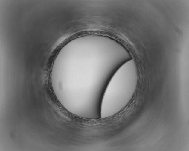 X0000111661208200907171112