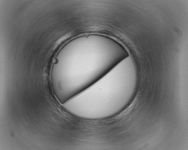 X0000111661210200907171112