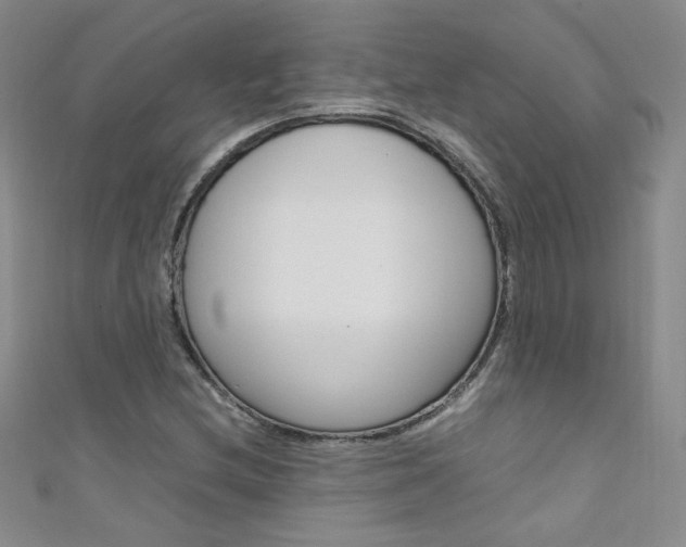X0000111661212200907171112