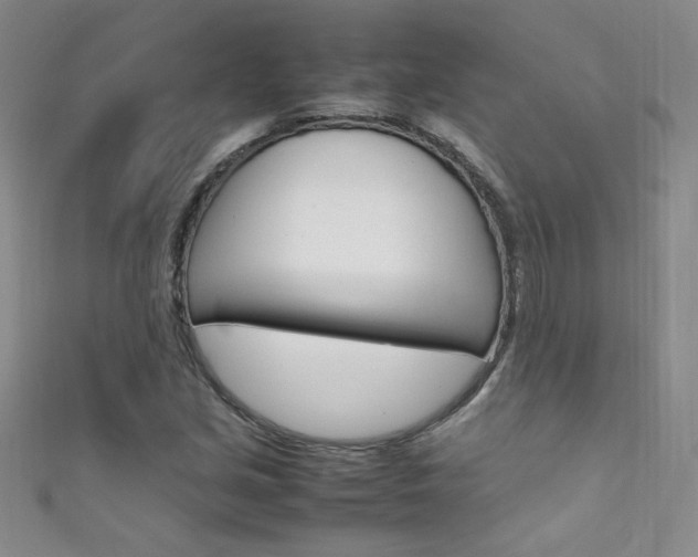 X0000111661213200907171112