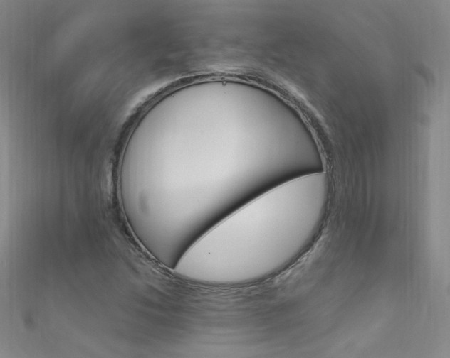 X0000111661214200907171112