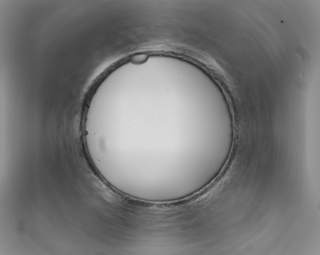 X0000111661216200907171112