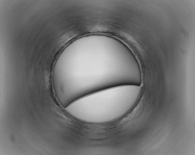 X0000111661217200907171112
