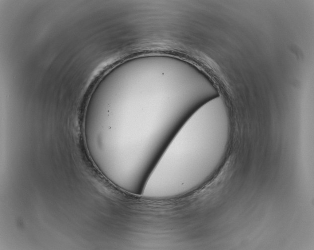 X0000111661218200907171112